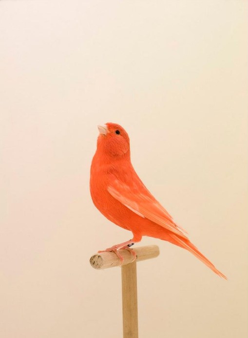 3o