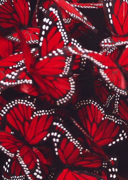 7b6be37aebe6244d6a69240fb2cbbe13