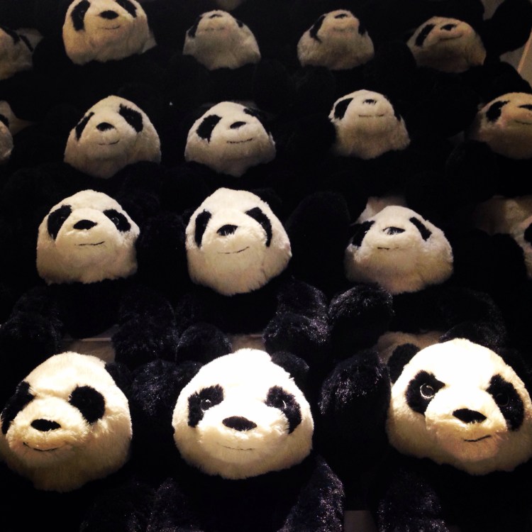 1/2 giornata all'Ikea 