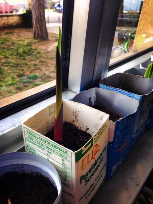 10151220_10152086935348940_217326306934255236_n