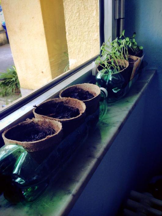 10170746_10152086935438940_5357722751056194441_n